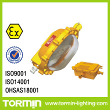 Mh Emergency Explosion Proof Floodlight (BC9110AB)